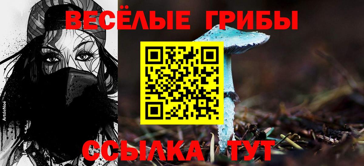 что такое наркотик  Псилоцибиновые грибы GOLDEN TEACHER  Вход с VPN  Фрязино 