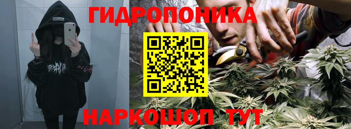 Канабис MAZAR  Бошки Шишки индика  Вход с VPN  Фрязино  МАРИХУАНА конопля 